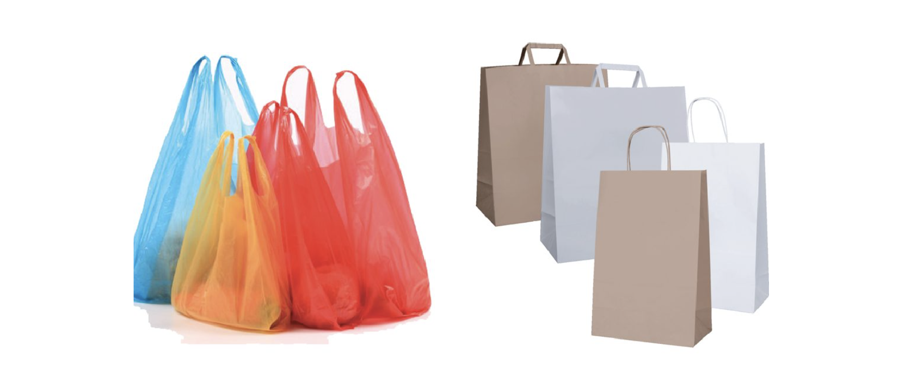 Paper-based products as promising substitutes for plastics in the context of bans on non-biodegradables